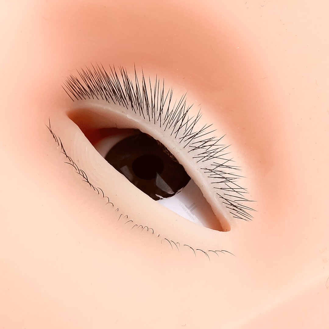 Горячий 4-слойный мини-манекен – обзор и цена Eyelash Extension Open Eye